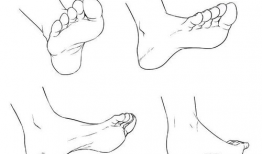 漫画脚,生活百态的趣味缩影